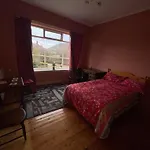 Lovely Double Room In Very Good Area