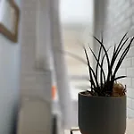 Charming 1 Bedroom Edinburgh Apartment