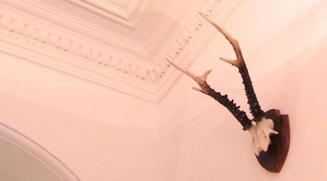Antler 4* EDI
