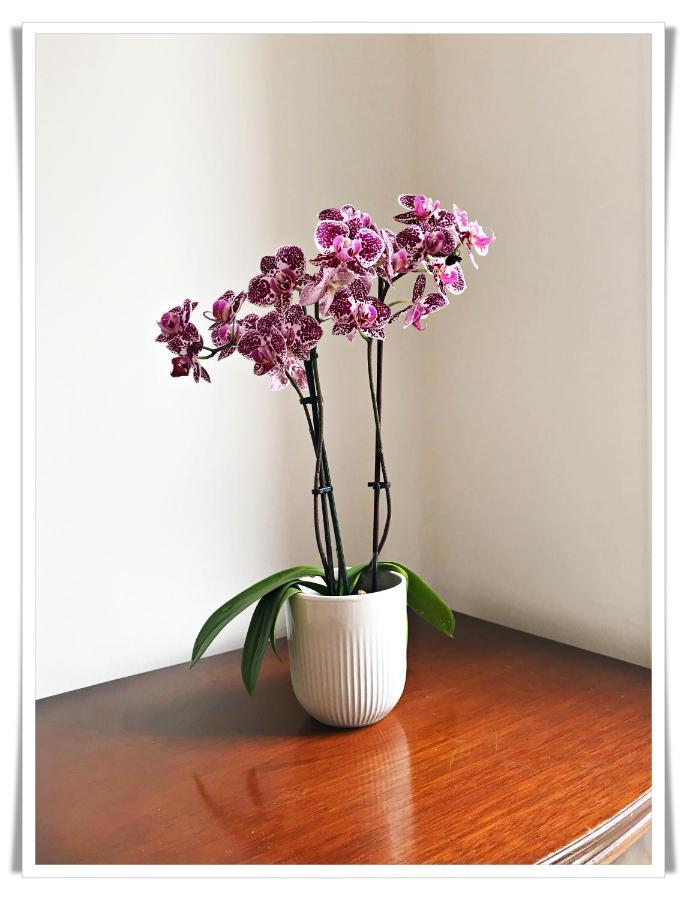 Apartment Spacious And Modern 2 Bedroom Flat Near The Centre