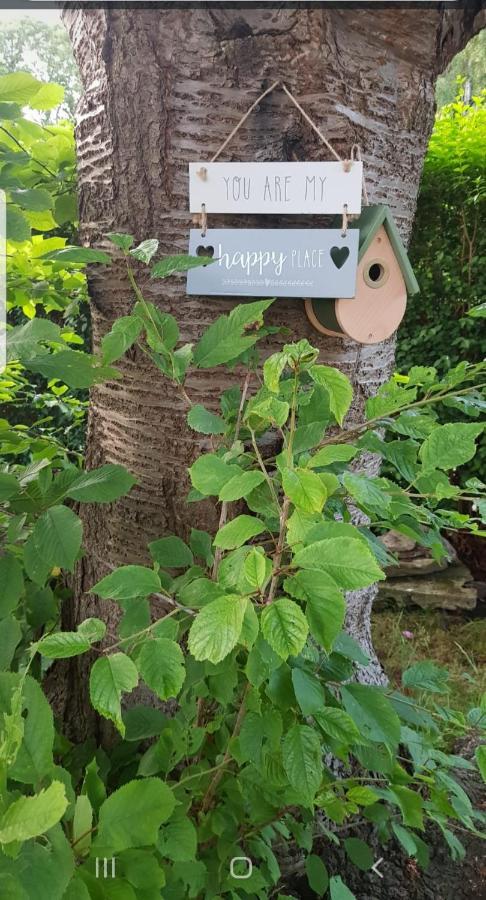Garden Retreat Edinburgh