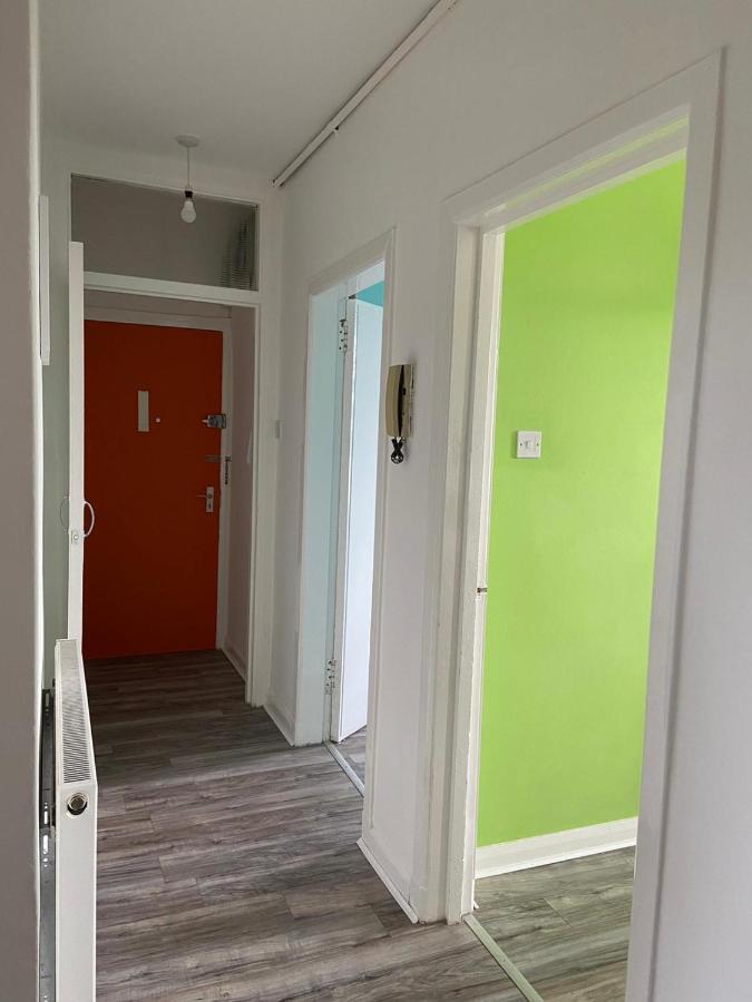 The Colour Flat