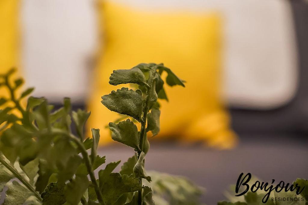 Apartment Spacious 2br-1ba - Grassmarket - Free Parking By Bonjour Residences