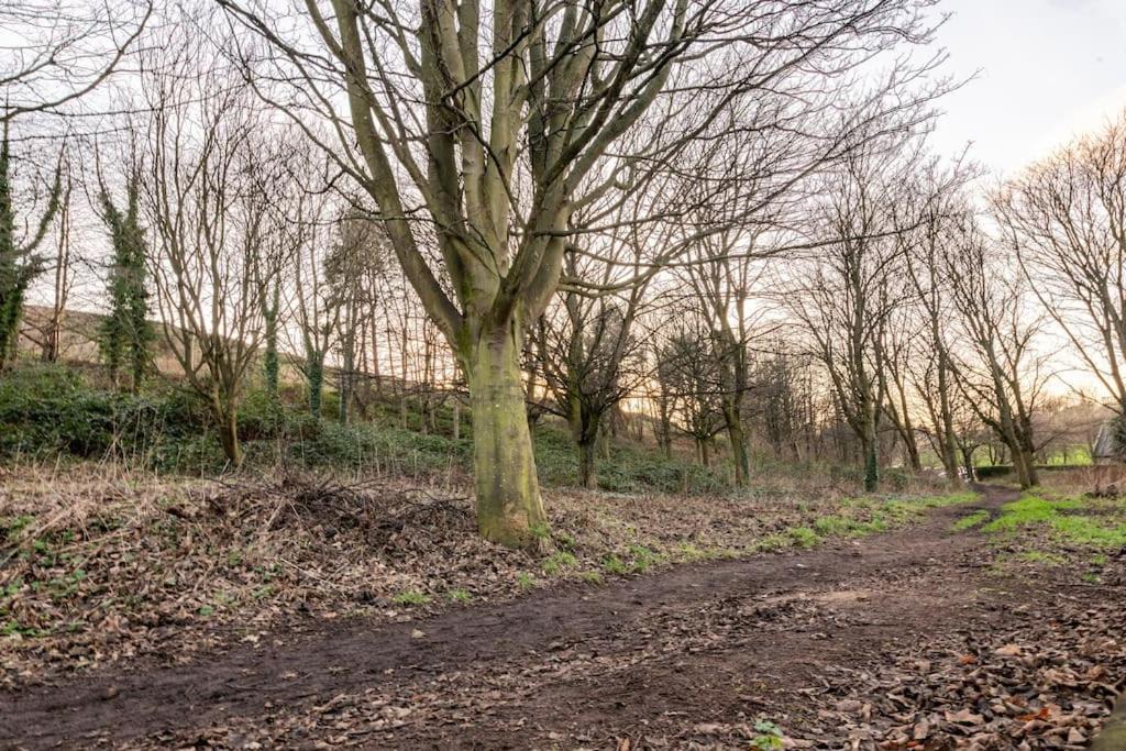 Holyrood Park: Lush & Arty 2 Double Bed Flat Edinburgh