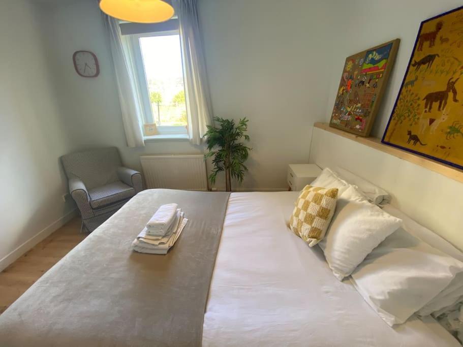 2 Bed With Garden Near Centre & Beach, Free Parking