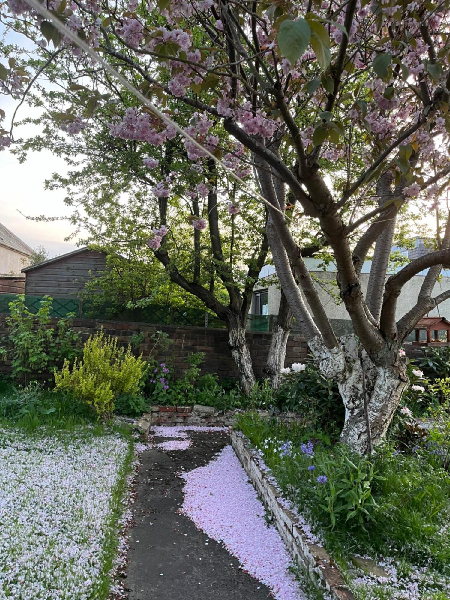 Relaxing, Cozy 1 Double Homestay Edinburgh