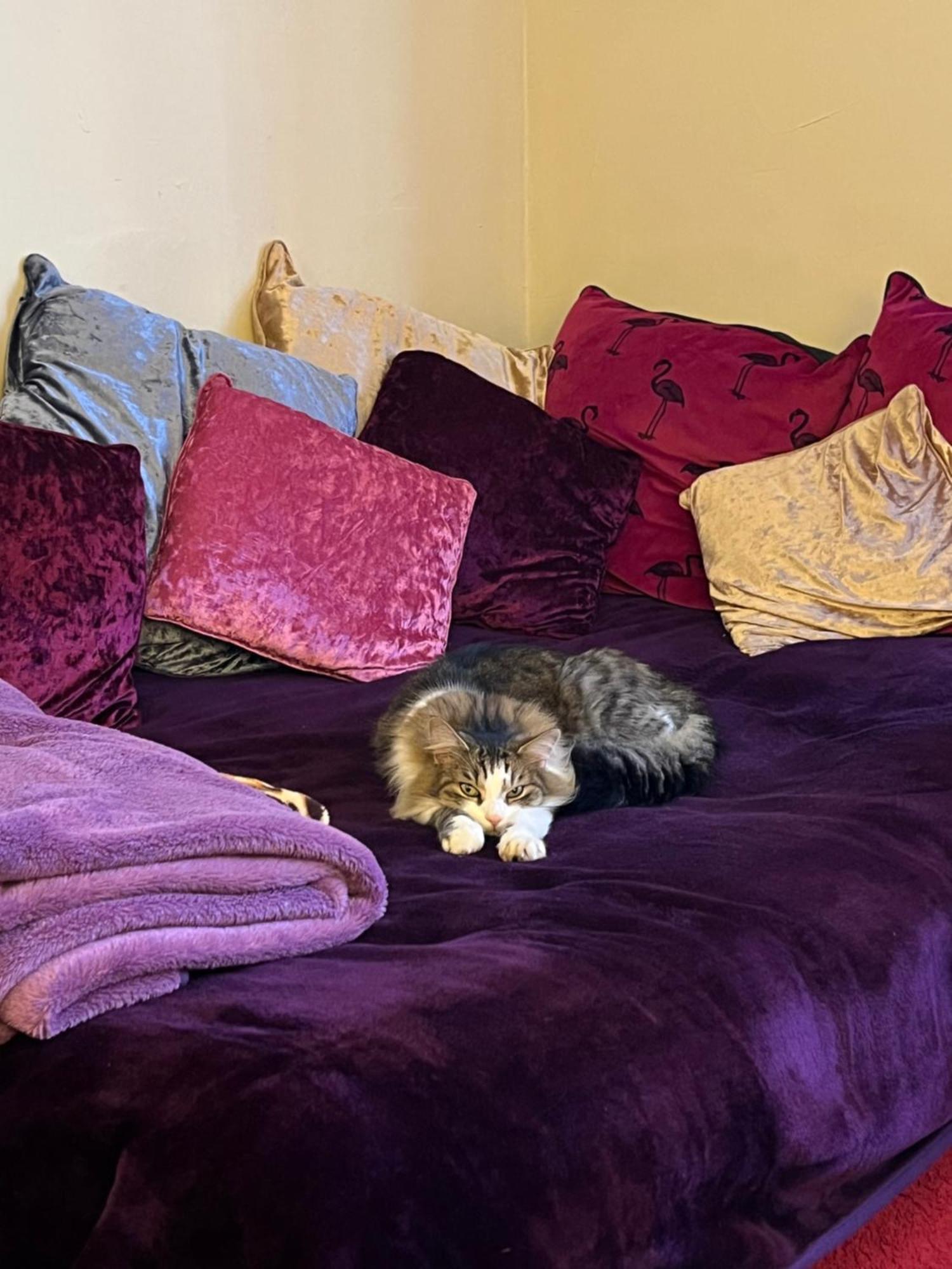 Homestay Relaxing, Cozy 1 Double *