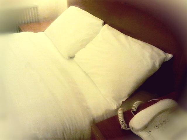 Abbey Hotel 3*