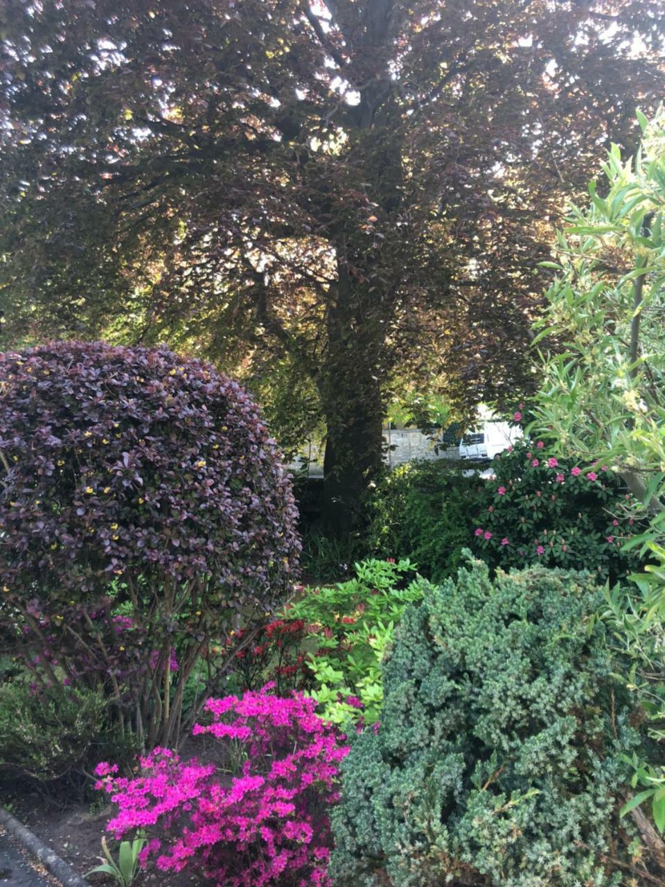 Claremont House 5*