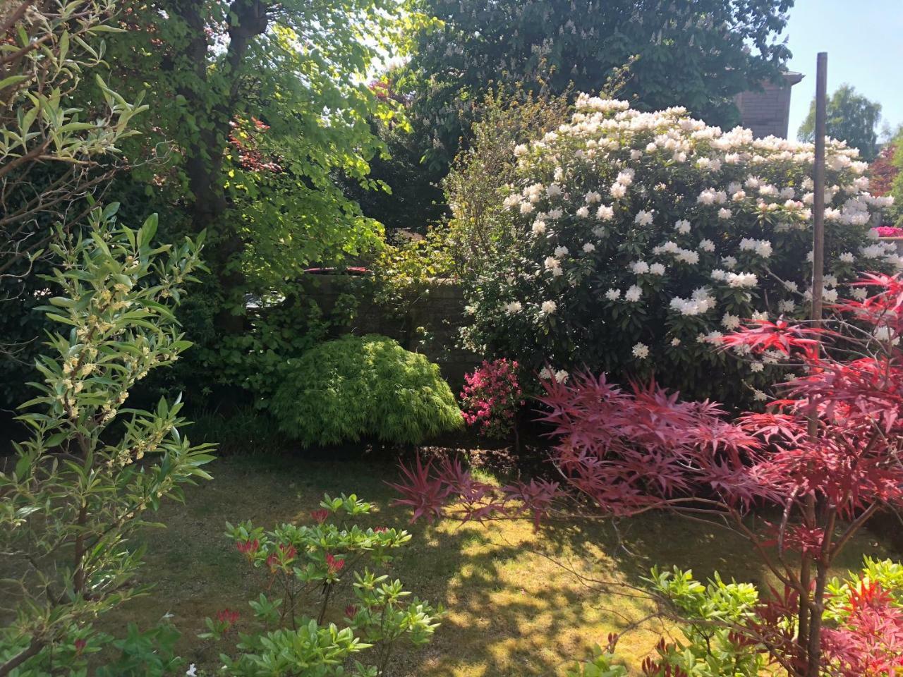 Claremont House 5* EDI