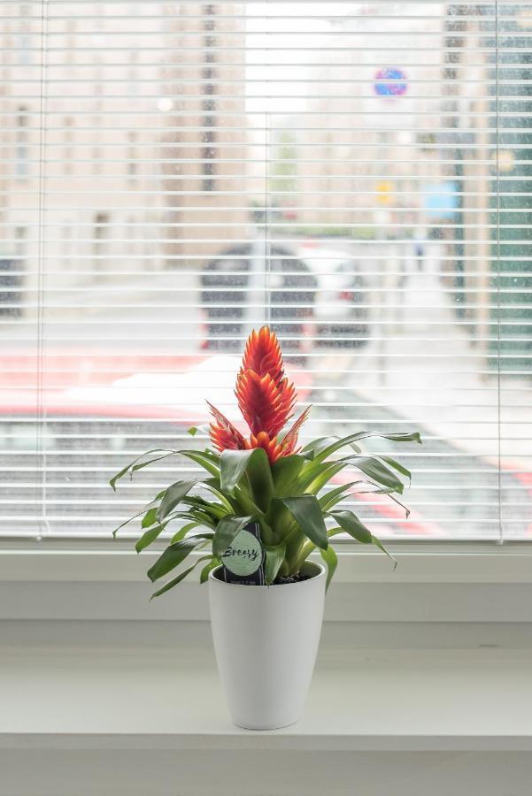 Haymarket Spacious 3 Bedroom Street Level Apartment *