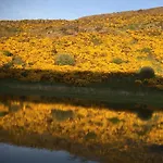 Next Door To Holyrood Palace And Arthur\'S Seat