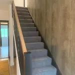 House Aurora