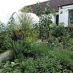 Charming 3 Bed Cottage For Share , Private Room Bookings , Free Parking , Strong Internet