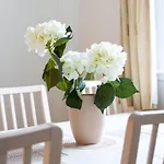Powderhall Rigg, Canonmills Apartment