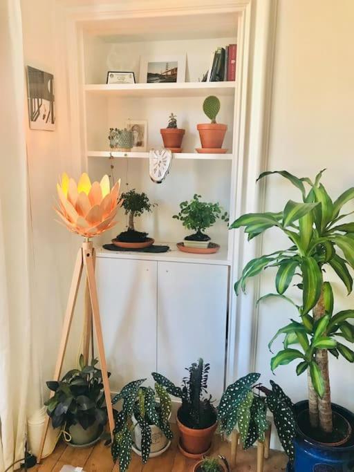 Cosy 2 Bedroom Flat In Appartement