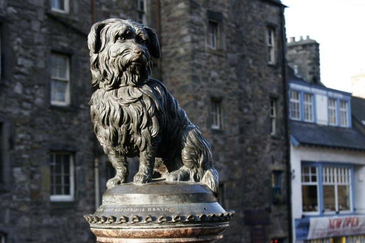 Luxury Apt Close To Meadows, Arthur Seat, Old Town Apartment