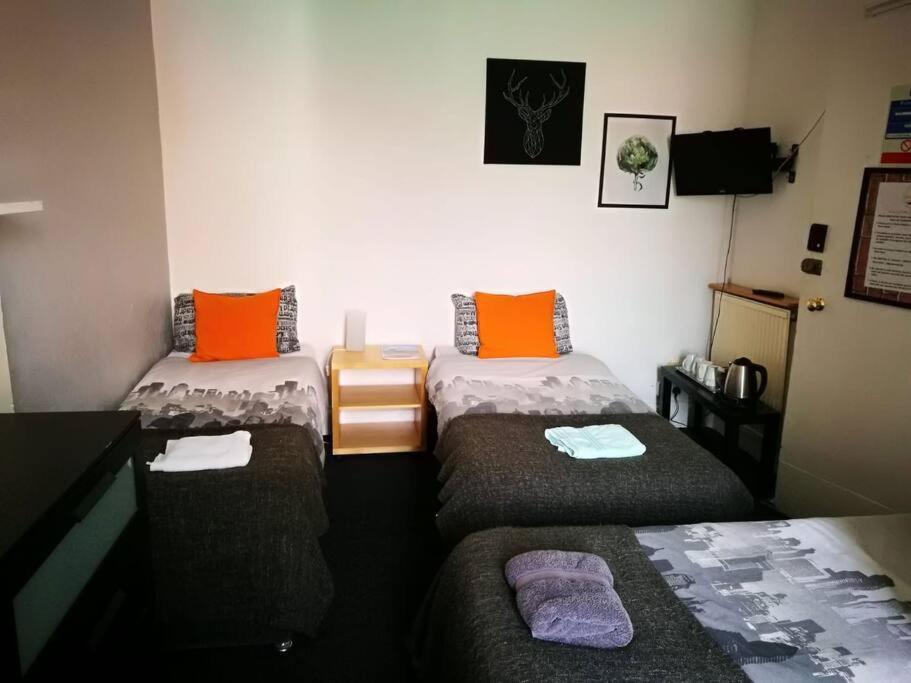 The Kingsview Townhouse - Boutique Auberge de jeunesse *