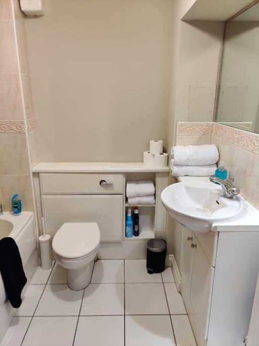Next To The Palace And Royal Mile With Parking Apartment Edinburgh