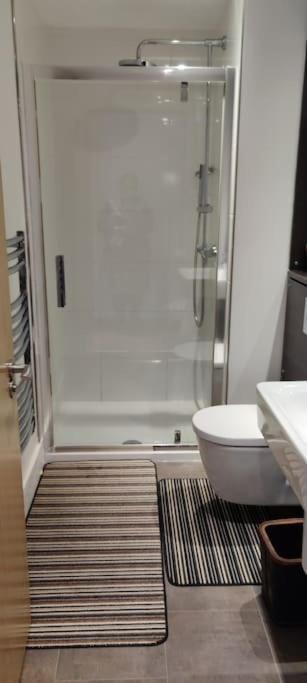Modern, Centre 1 Bed, Ground Floor Apartment