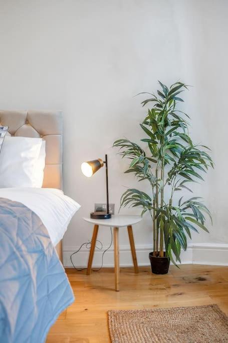 Apartment Luxury 3 Bed 2 Bath Main Door Apartm At Wardie Bay