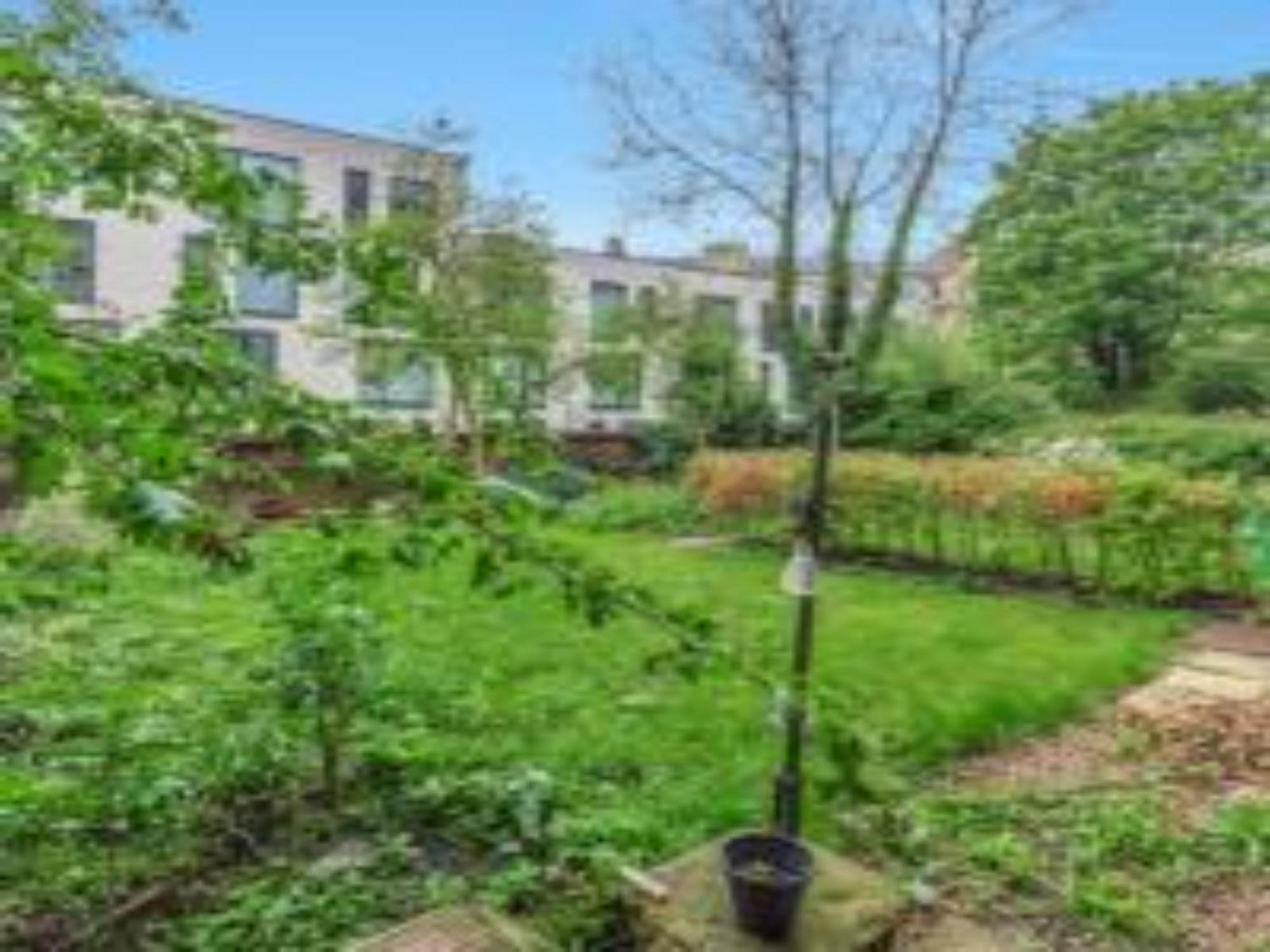Pass The Keys Main Door 3 Bed With Free Parking * Édimbourg