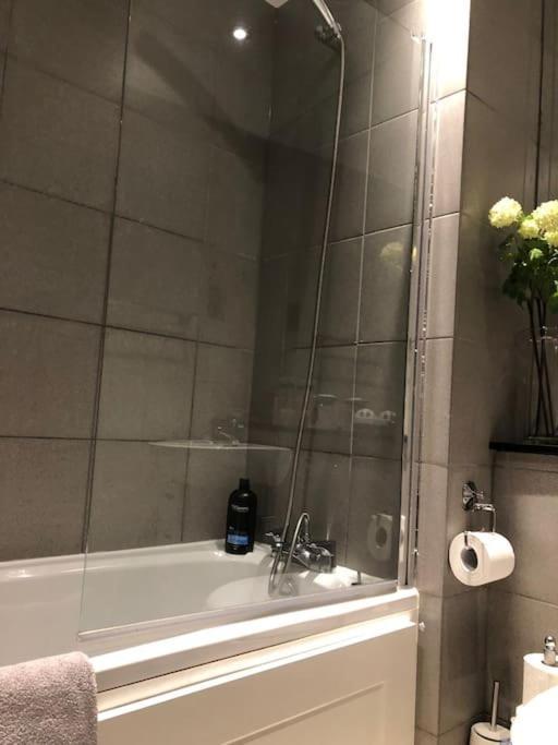 Modern Specious Three Bedroom In Edinburgh