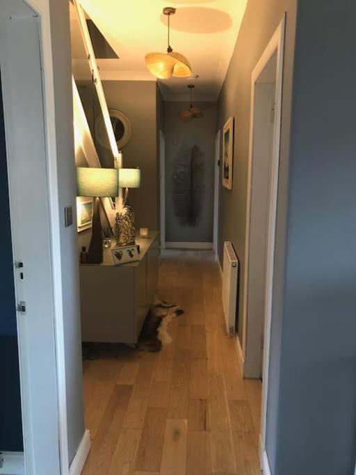 Ultra Stylish Furnished In Holiday home Edinburgh