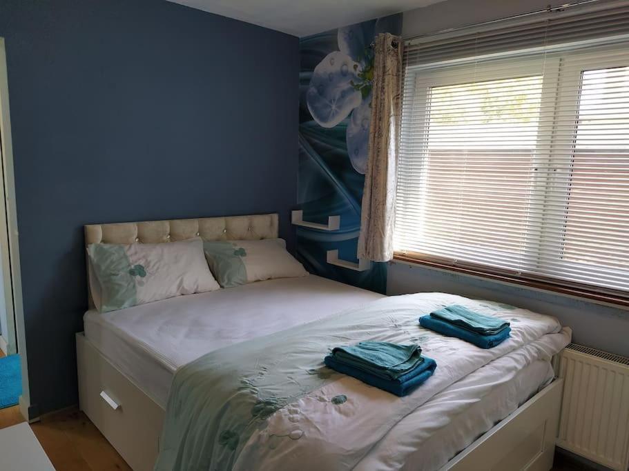 Studio Flat, Frequent Buses, 1-minute Walk To Bus Stop, 15 Minutes To City Center Apartment *