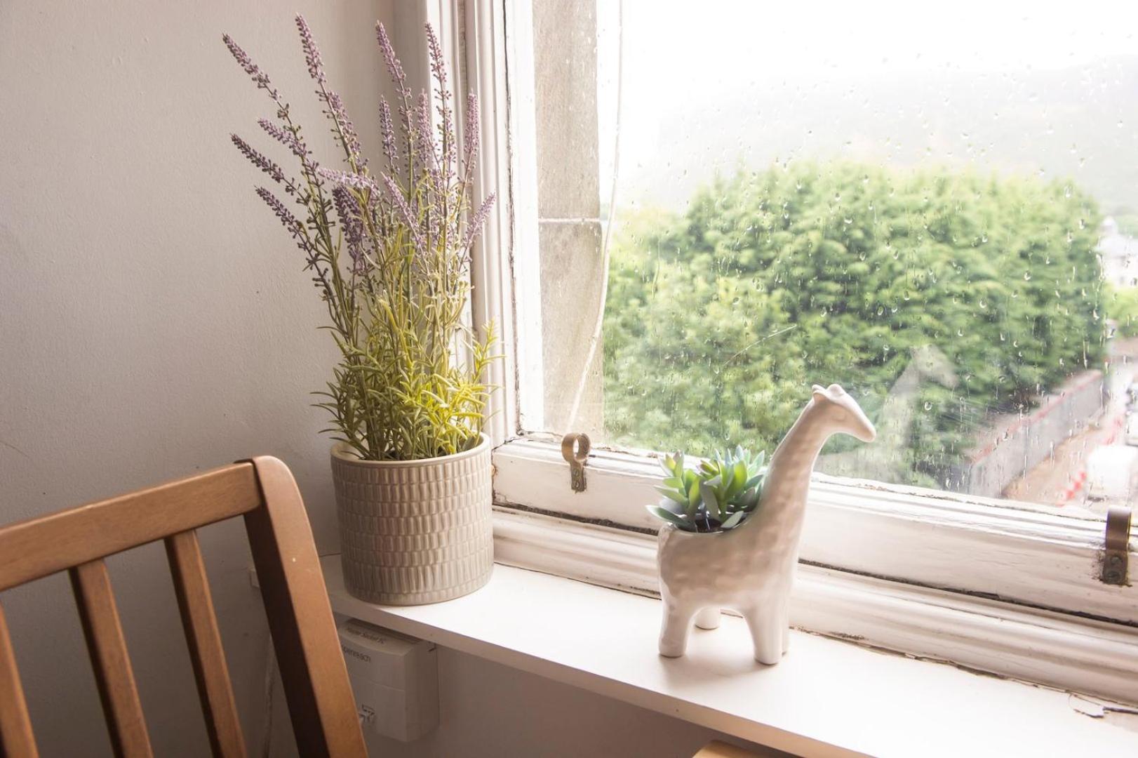 Apartment Guestready - Cozy Apt In Southside, Edinburgh! Edinburgh