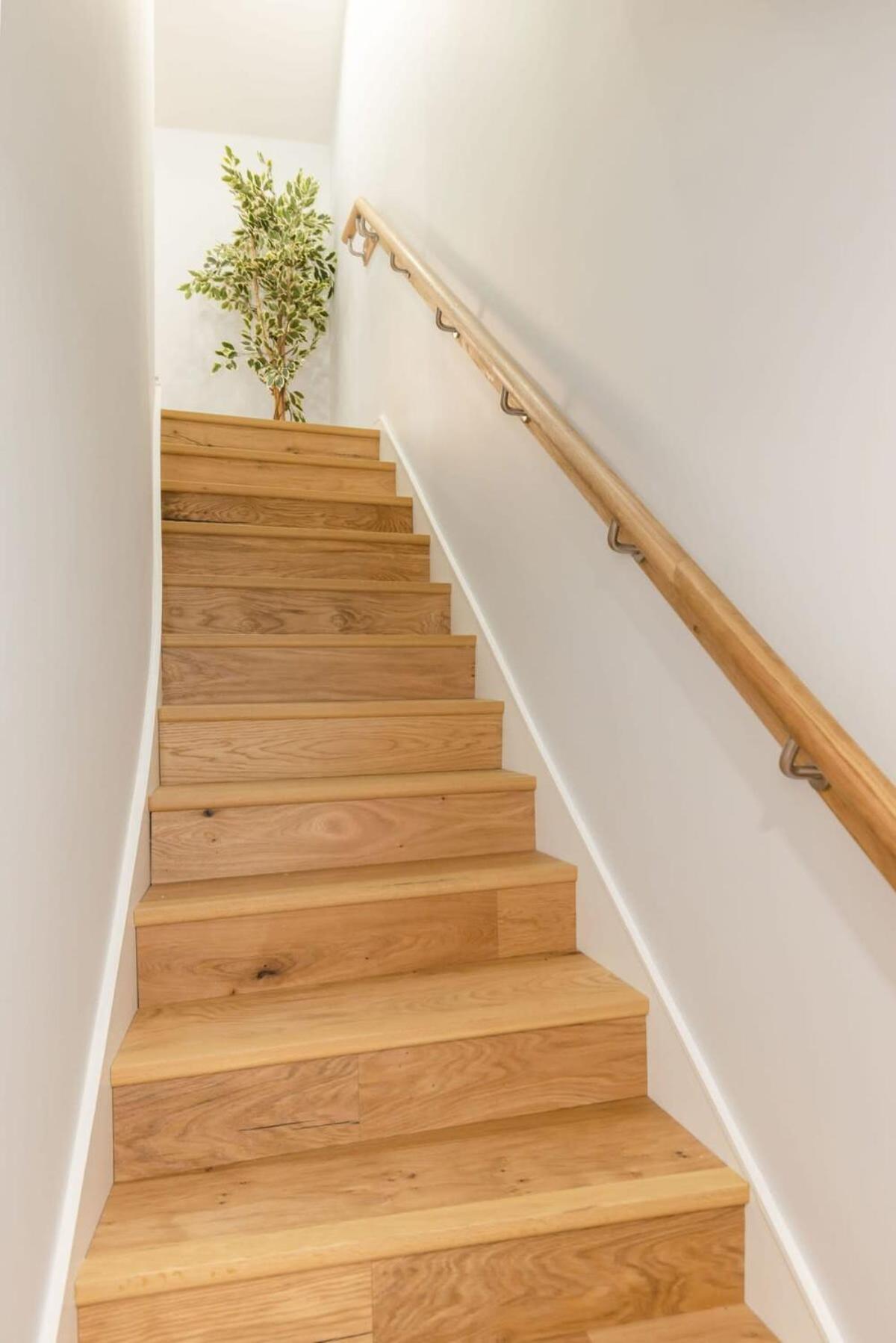 Dragon - Yukina - 2 Bed Centre House With Garden *