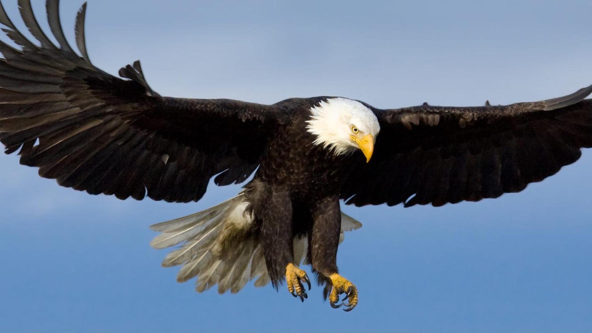 Eagles Land Appartement