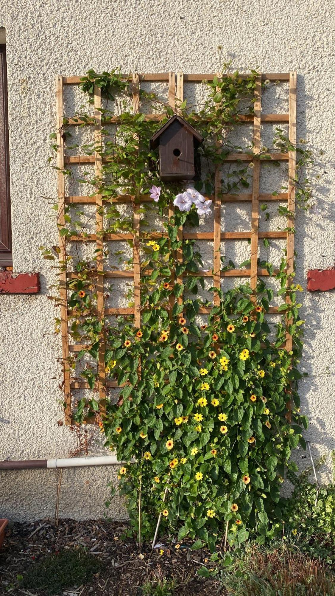 Privatunterkunft Frans Place EDI