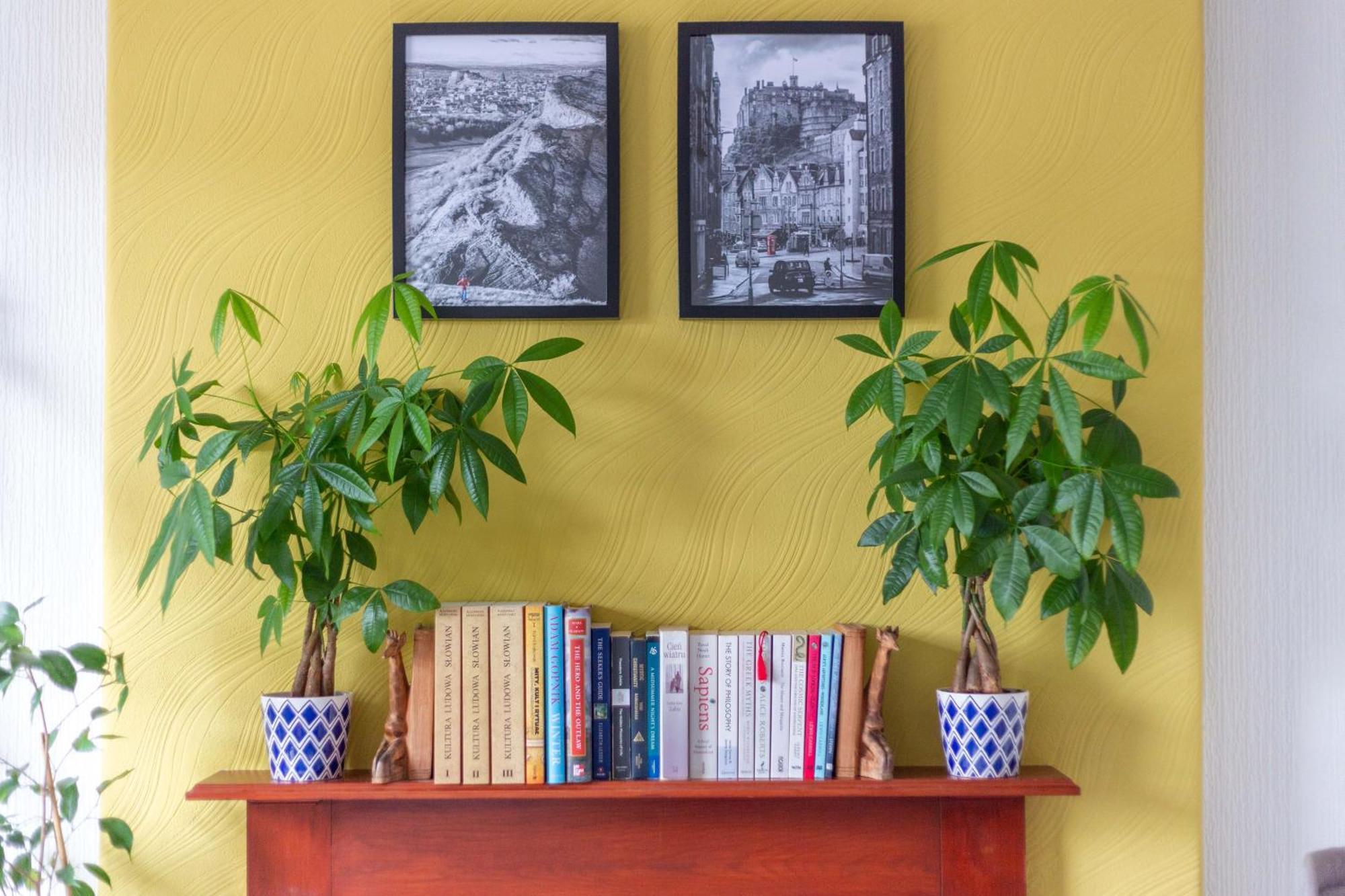 Bright & Spacious Double With Garden View- Close To Airport & Centre Séjour chez l'habitant *
