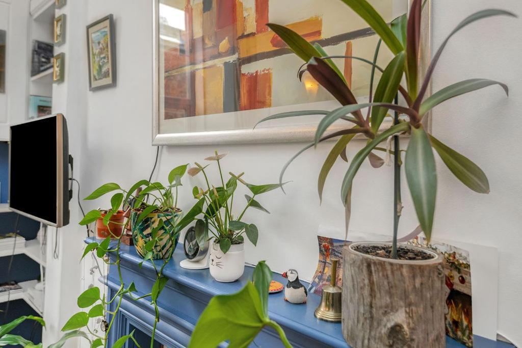 Homely In Trendy Stockbridge Apartment