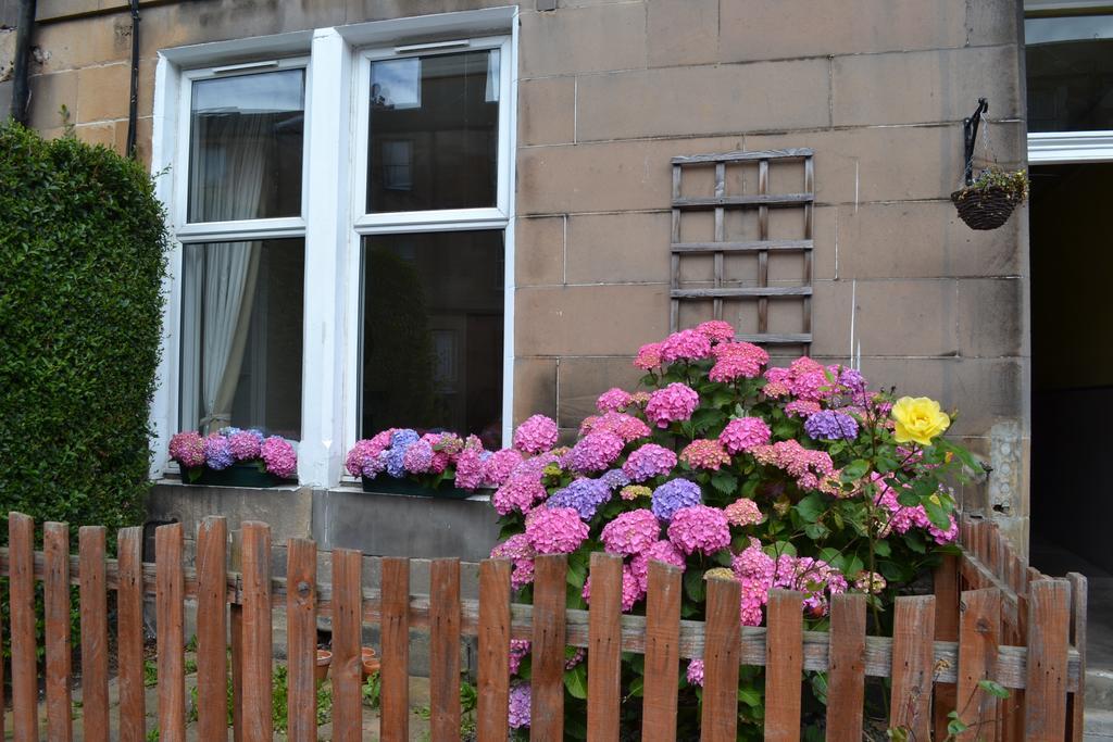 Apartment Pitt Street Apartment Beautiful Spacious Apartment Free Parking And Free Sanitizer