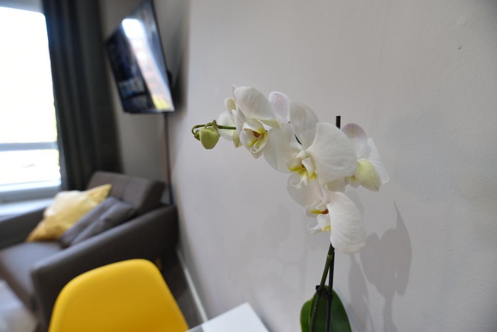 Meadowbank House Luxury Apartment *