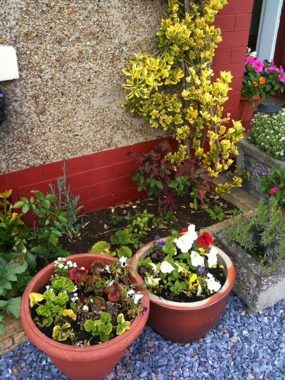 Bed & Breakfast Almond House Edinburgh