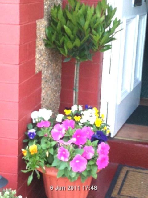 Almond House Bed & Breakfast *