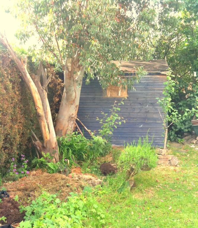 Almond House Bed & Breakfast