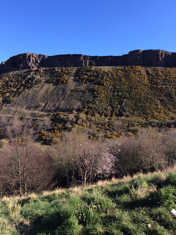 The Pleasance Edinburgh