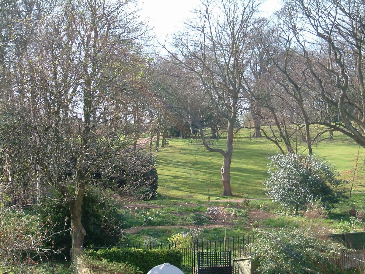 Terrace 2*