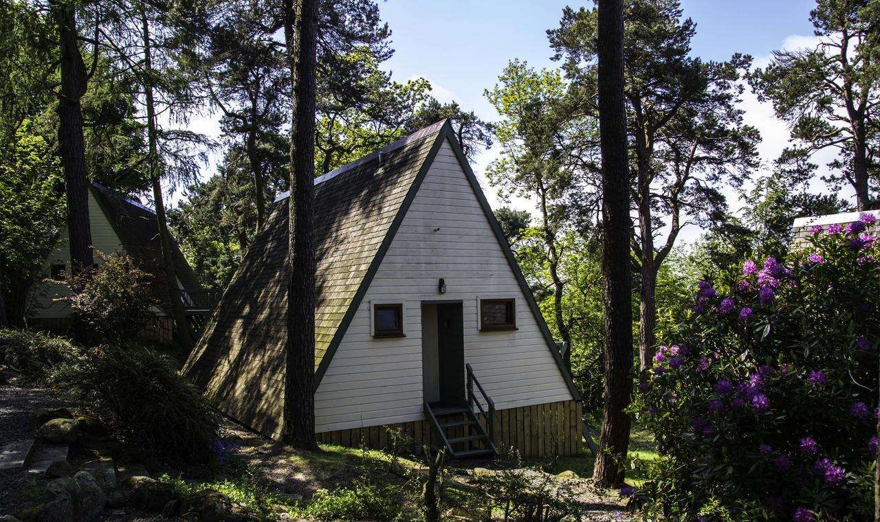Craigs Lodges Ferienhaus *