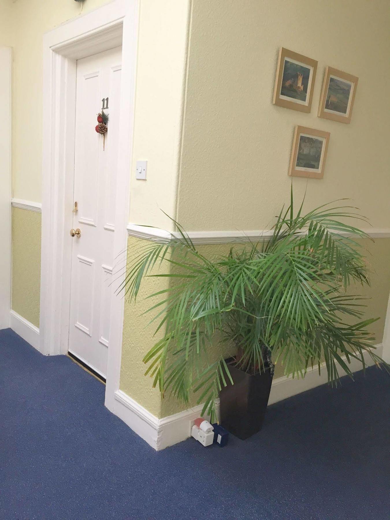 The Thistle House Apartment