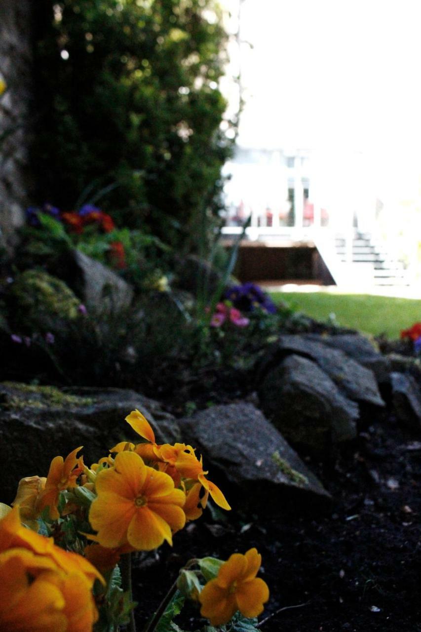 Culane House - 4*