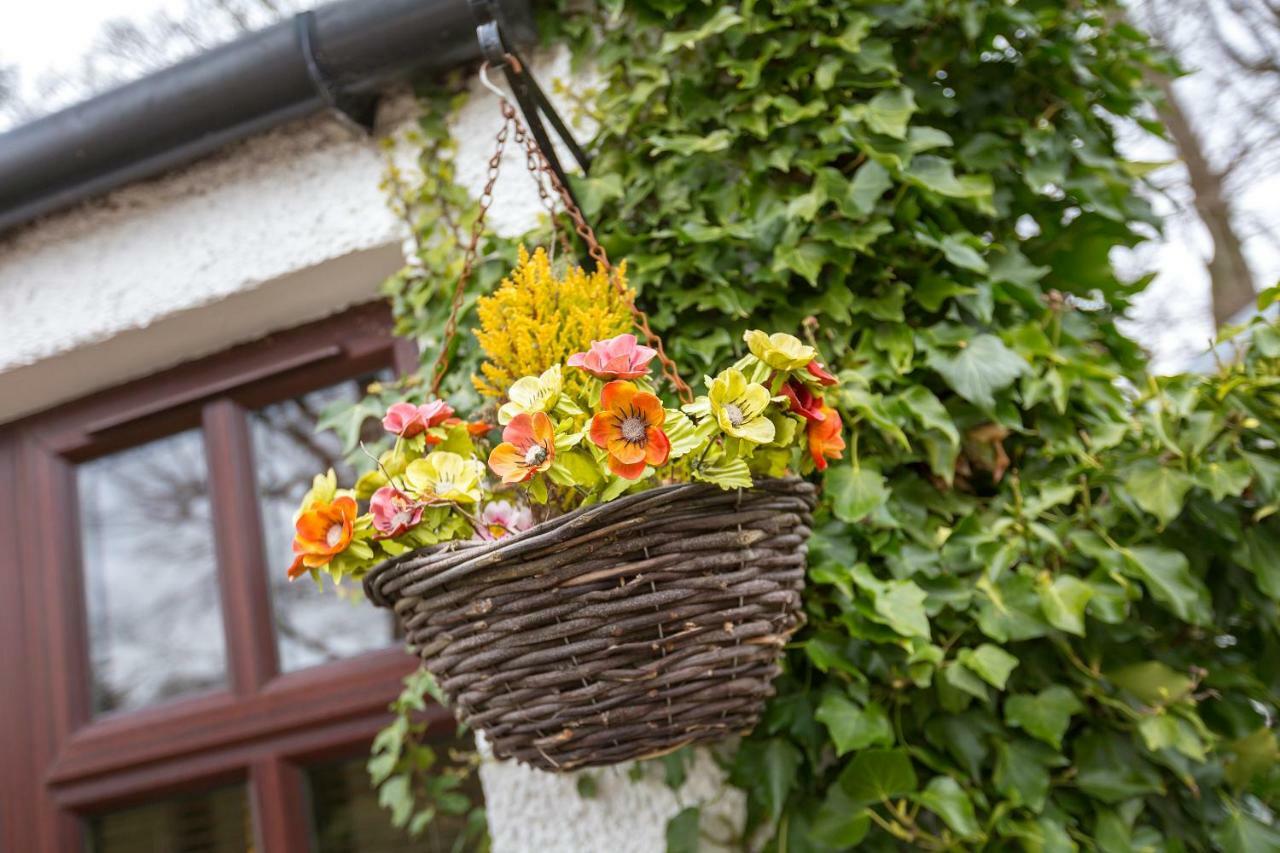 Justb Deva Edinburgh Guest house Edinburgh