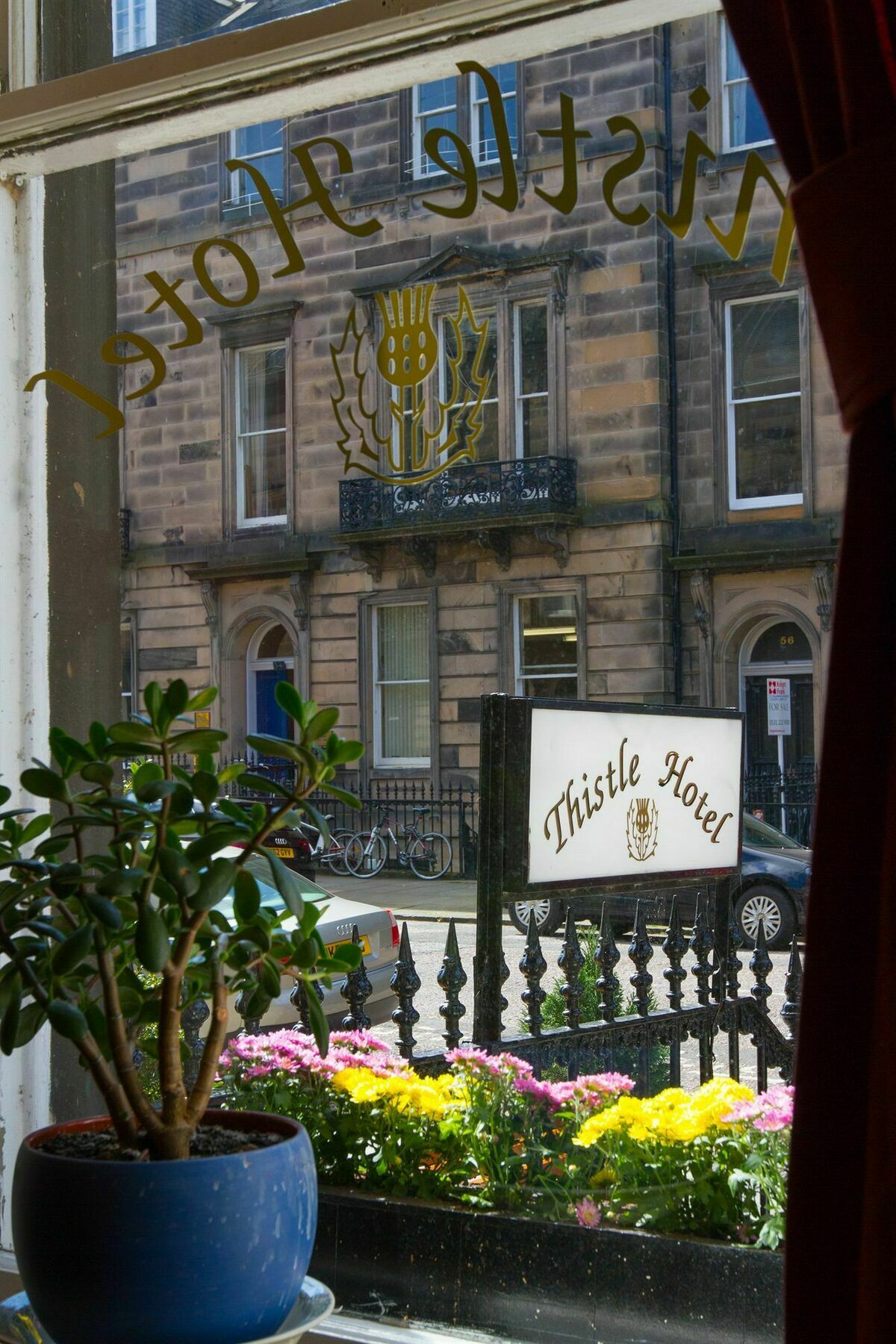 Hotel Thistle 3*