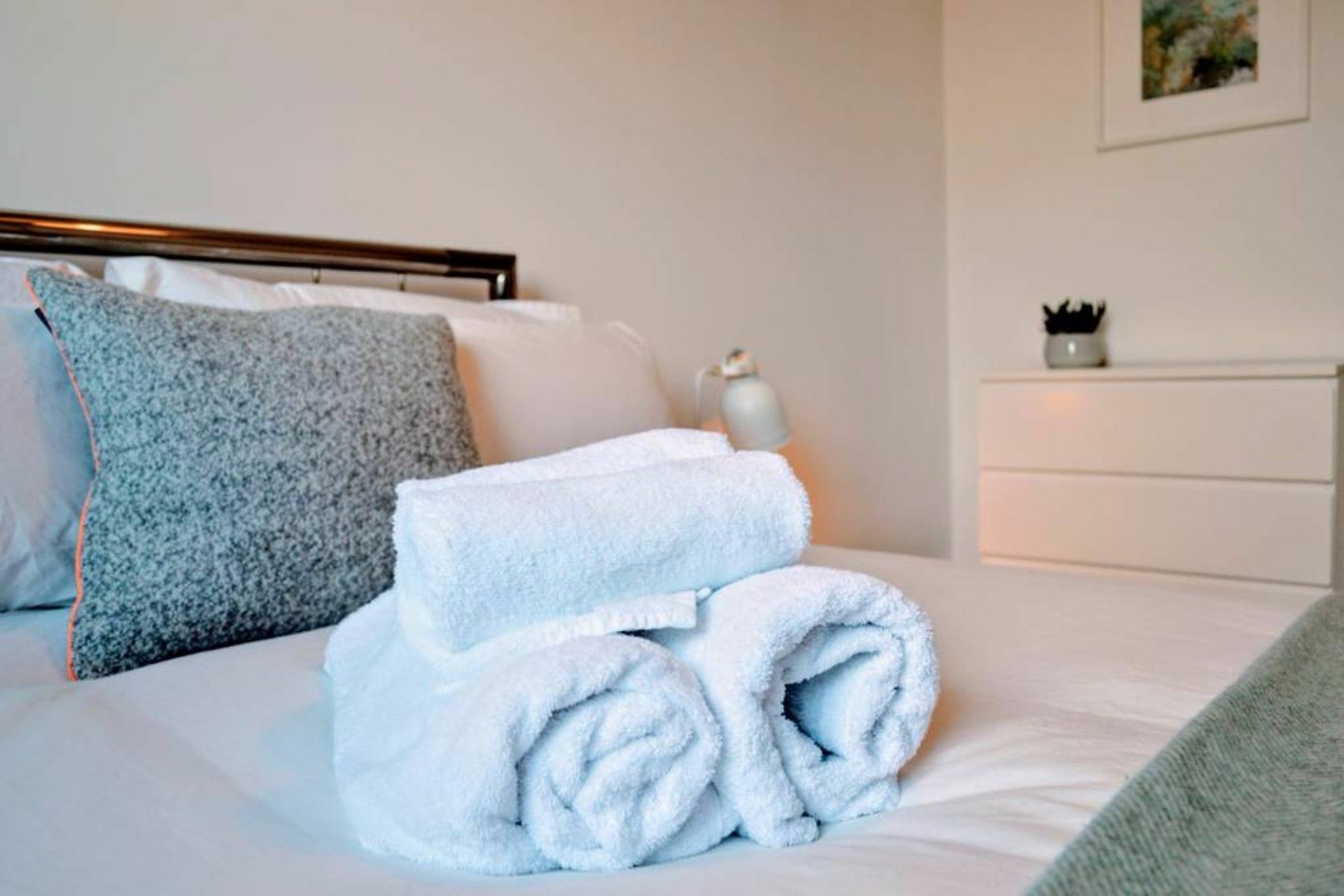 Beautifully Renovated -central Edinburgh