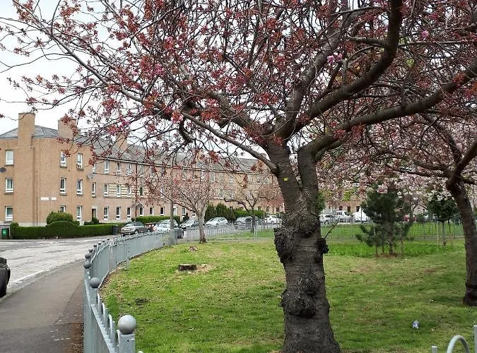 Large 3 Bedroom Apartment/Flat In Ideal Location