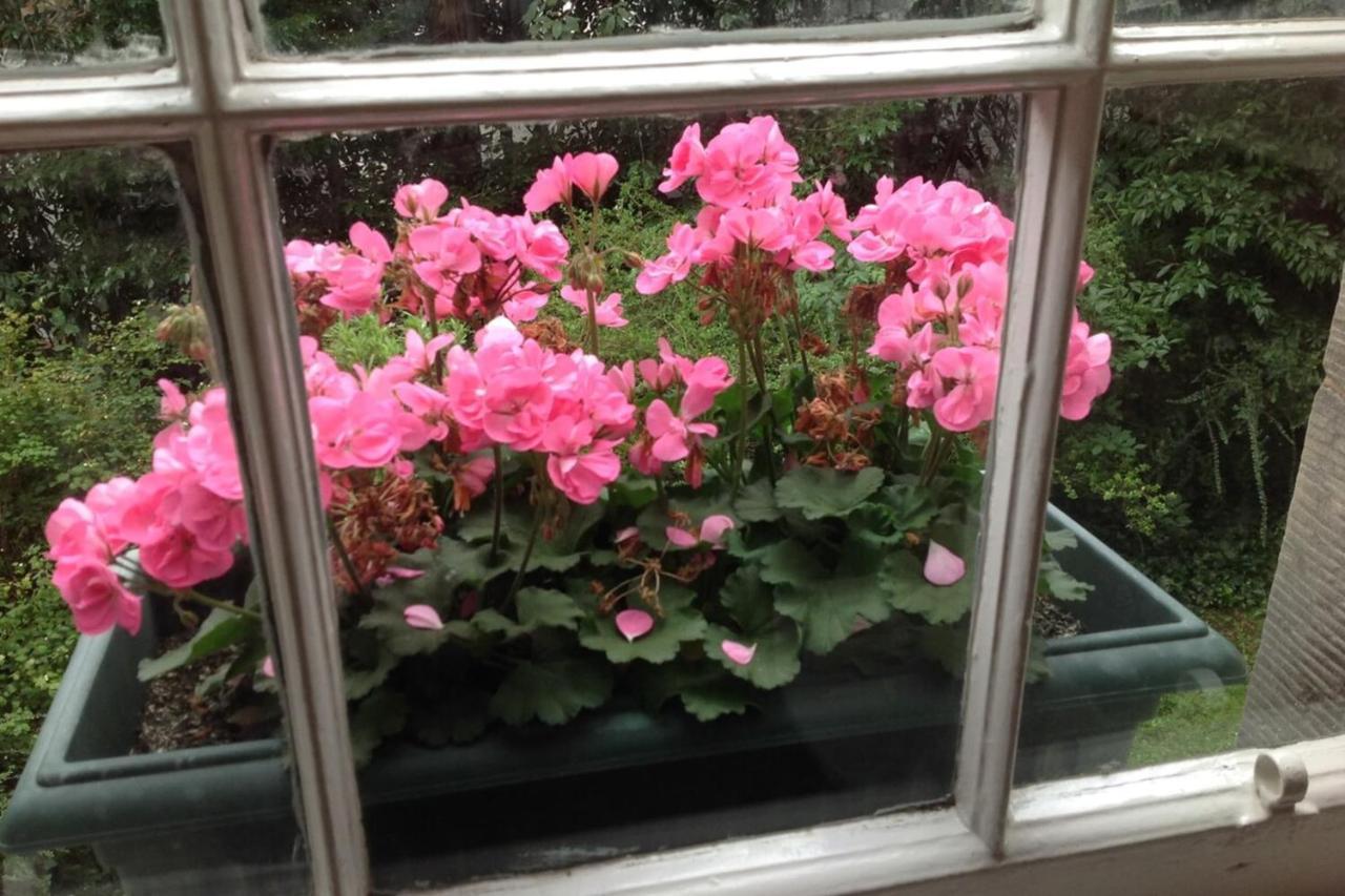 1 Bedroom On Charming St Stephen Street Apartment